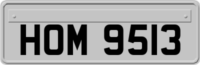 HOM9513