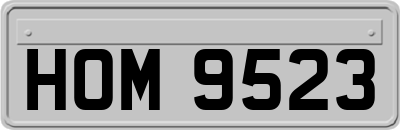 HOM9523