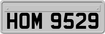 HOM9529