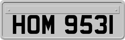 HOM9531