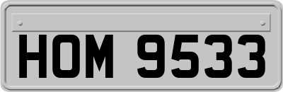 HOM9533