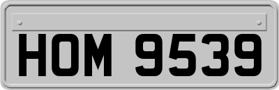 HOM9539