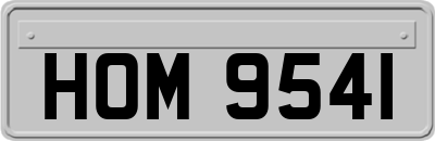 HOM9541