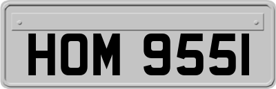 HOM9551