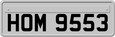 HOM9553