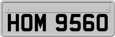 HOM9560