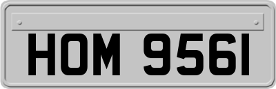 HOM9561