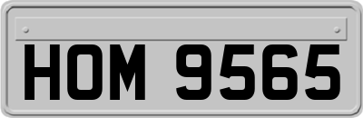 HOM9565