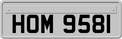 HOM9581