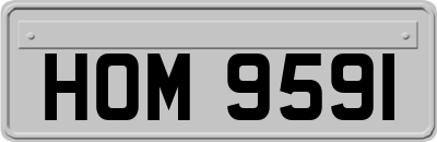 HOM9591