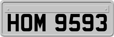 HOM9593