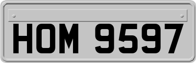 HOM9597