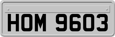 HOM9603