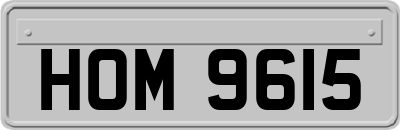 HOM9615