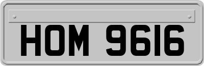 HOM9616