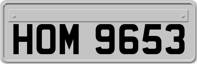 HOM9653