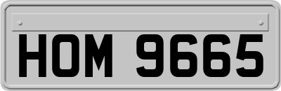 HOM9665