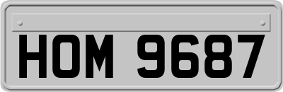 HOM9687