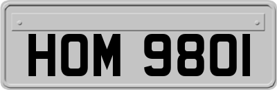 HOM9801