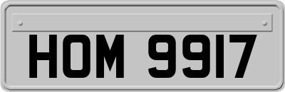 HOM9917