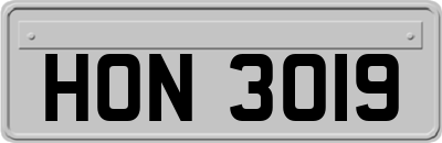 HON3019