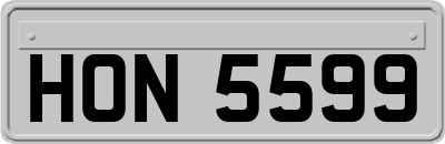 HON5599