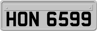 HON6599