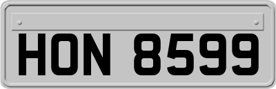 HON8599