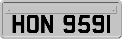 HON9591