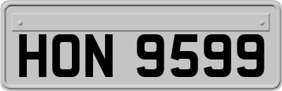 HON9599