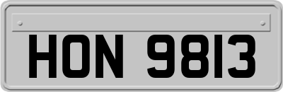 HON9813