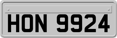 HON9924