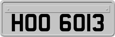 HOO6013