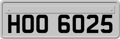 HOO6025