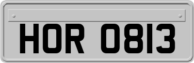 HOR0813