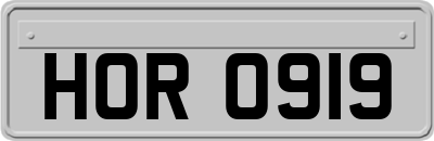 HOR0919