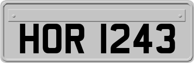 HOR1243