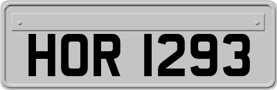 HOR1293