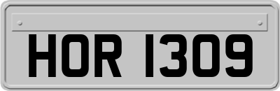 HOR1309