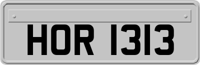 HOR1313