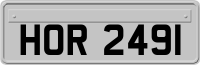 HOR2491