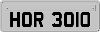 HOR3010