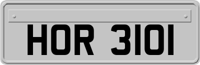 HOR3101