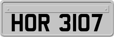 HOR3107