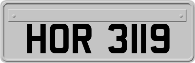 HOR3119