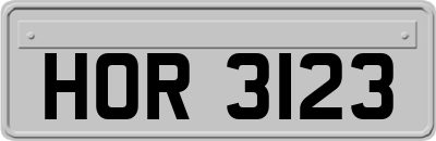 HOR3123