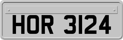 HOR3124