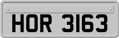 HOR3163