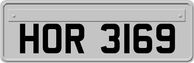 HOR3169