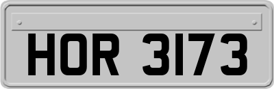 HOR3173